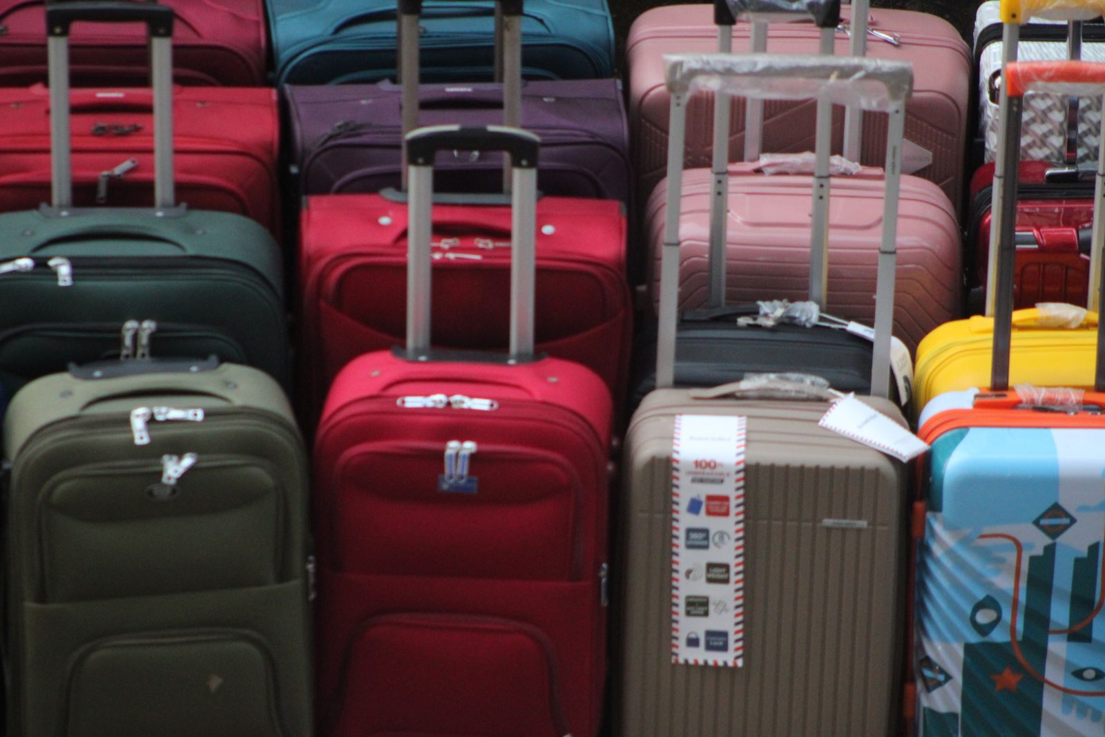 Rows of colorful suitcases lined up for travel